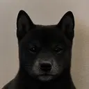 Nigga