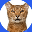 MURZ