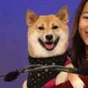 Kimchi