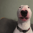 Walter