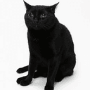 BLACKCAT