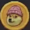 dogewifhat