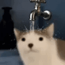faucet