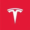 Tesla AI