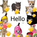 Hello