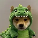 Rawr