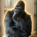 Shabani