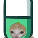 PUMPCAT
