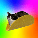 tacocat