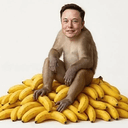 ELON