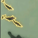 Dolphins