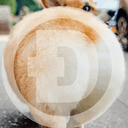 Dogecoin