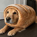 BREADDOG