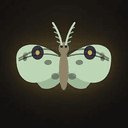 moths