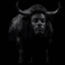 ANSEM
