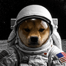 moondog