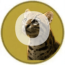 OCELOT