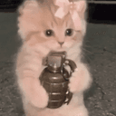 bCAT