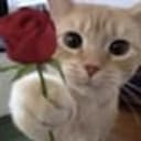 ily