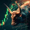 BULLRUN