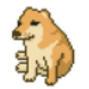 CashDog