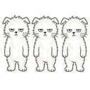 BORING