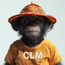 CLM