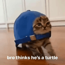 cap