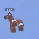 SAM