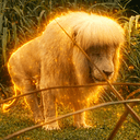 HangHang