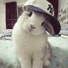 aless