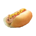 DDOGE