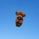 Pogo