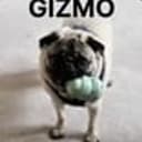 GIZMO