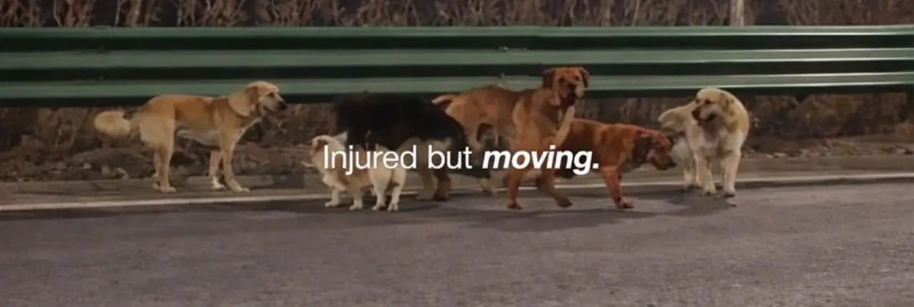 Da Pang The Leader Banner