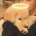 Halo