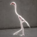 BRCRN