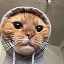 HOOD