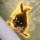 Orca