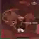 EFEFEFEFE