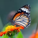 TEST645845