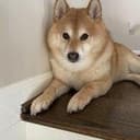 Jiro
