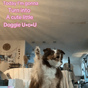 CuteLittle
