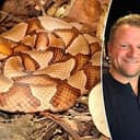 COPPERHEAD