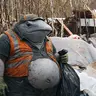TrashWhale