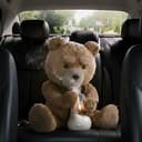 $Ted