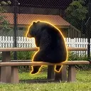 BOB