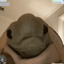 TORTUGA