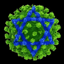 Scamvirus