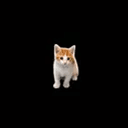ᵗⁱⁿʸ